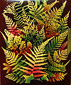 Click here for larger view